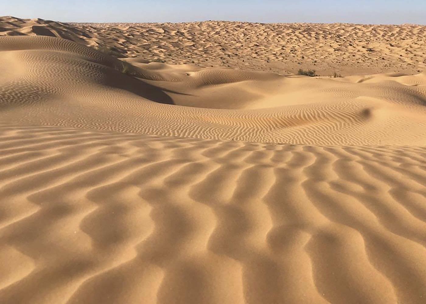 distesa dune sabbia 4x4 tunisia off-road